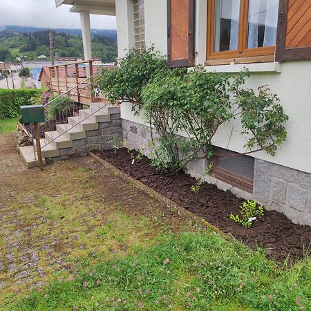 Gite Papillon 6 A14 Personnes - Jacuzzi Gérardmer Eksteriør bilde